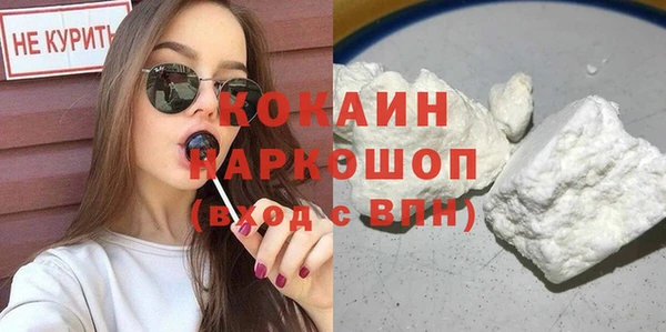 2c-b Бородино